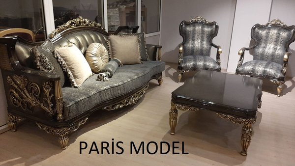 Model PARIS